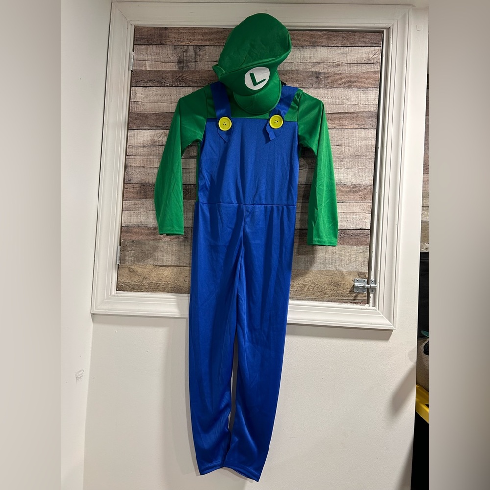 NWOT Luigi Youth Costume